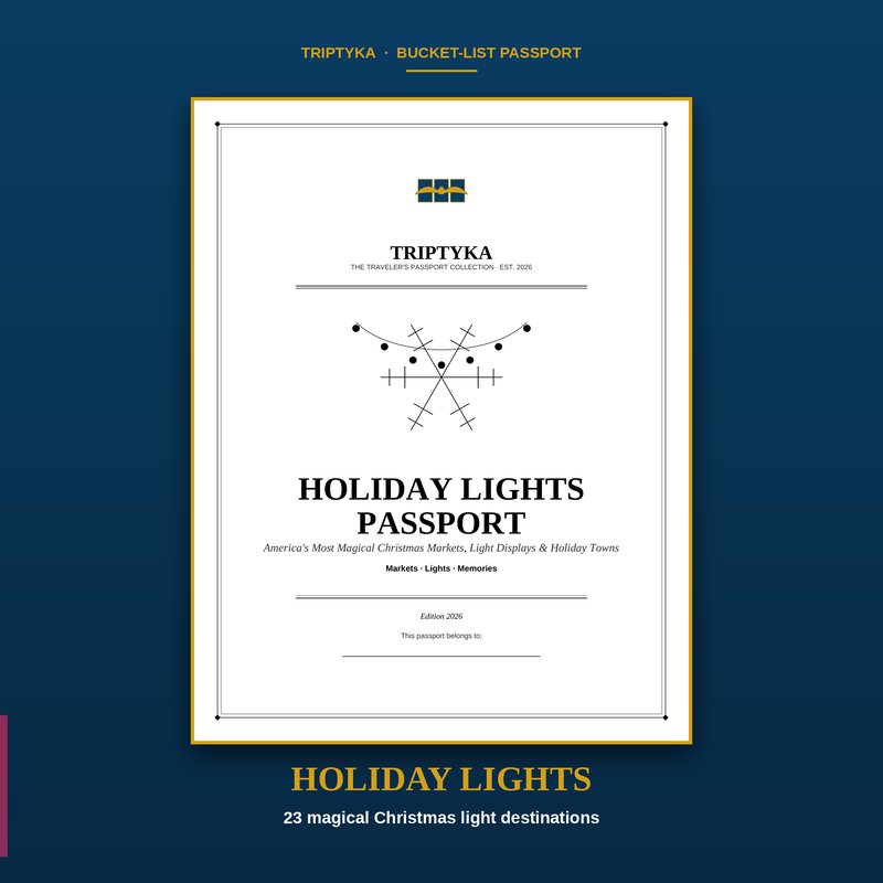 Holiday Lights passport cover